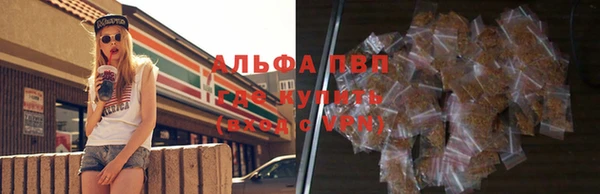 прущие крисы Каменногорск