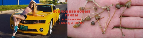 mdpv Инсар