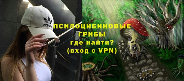 прущие крисы Каменногорск