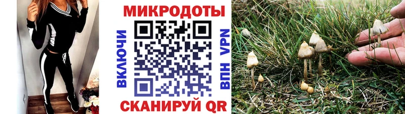 Галлюциногенные грибы Psilocybe  Купить  Избербаш 